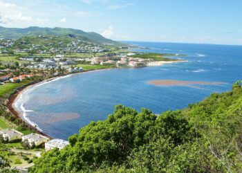 Image by Mick Rodgers from Pixabay