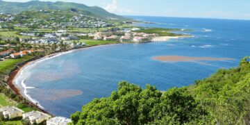 Image by Mick Rodgers from Pixabay