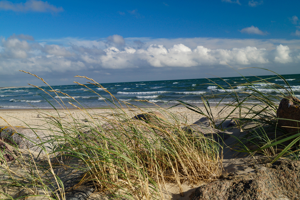 Ferien an der dänischen Nordsee: Warum Blåvand zu jeder Jahreszeit eine Reise wert ist