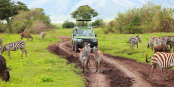 Luxus-Safari in Tansania: Natur und Komfort erleben